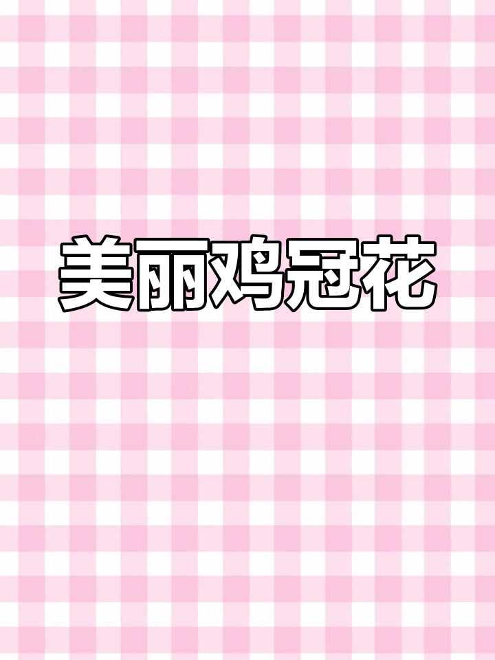 鸡冠花盛开,农村美景尽收眼底