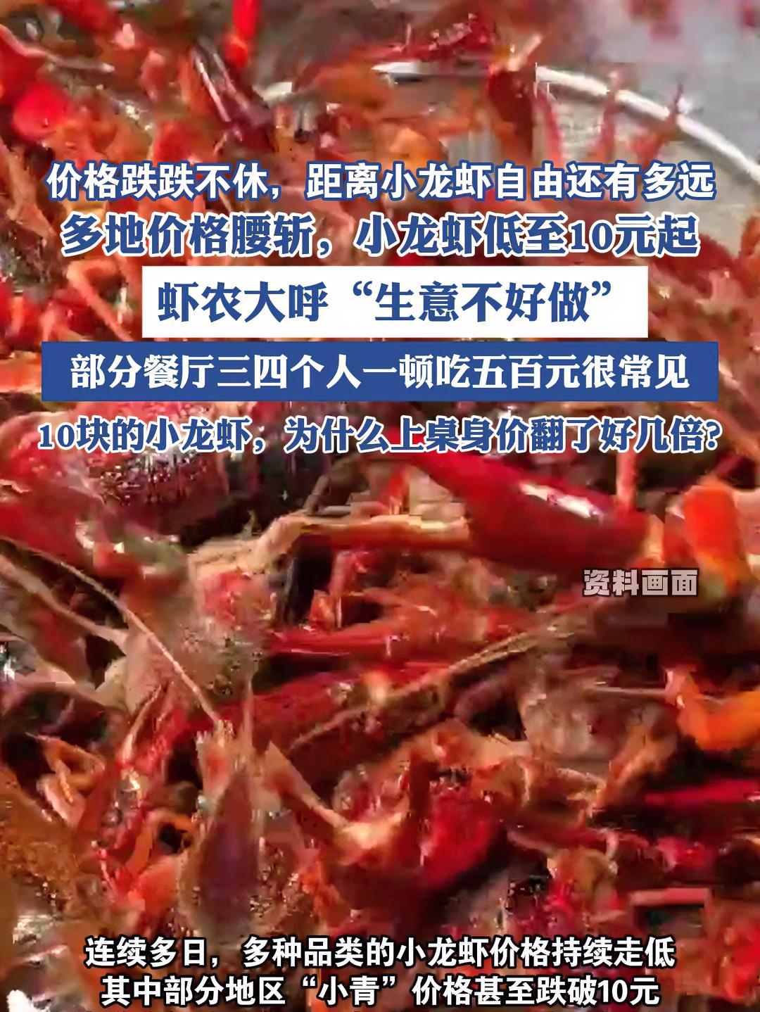 价格跌跌不休,距离小龙虾自由还有多远 多地价格腰斩,小龙虾低至10元起(央视财经)