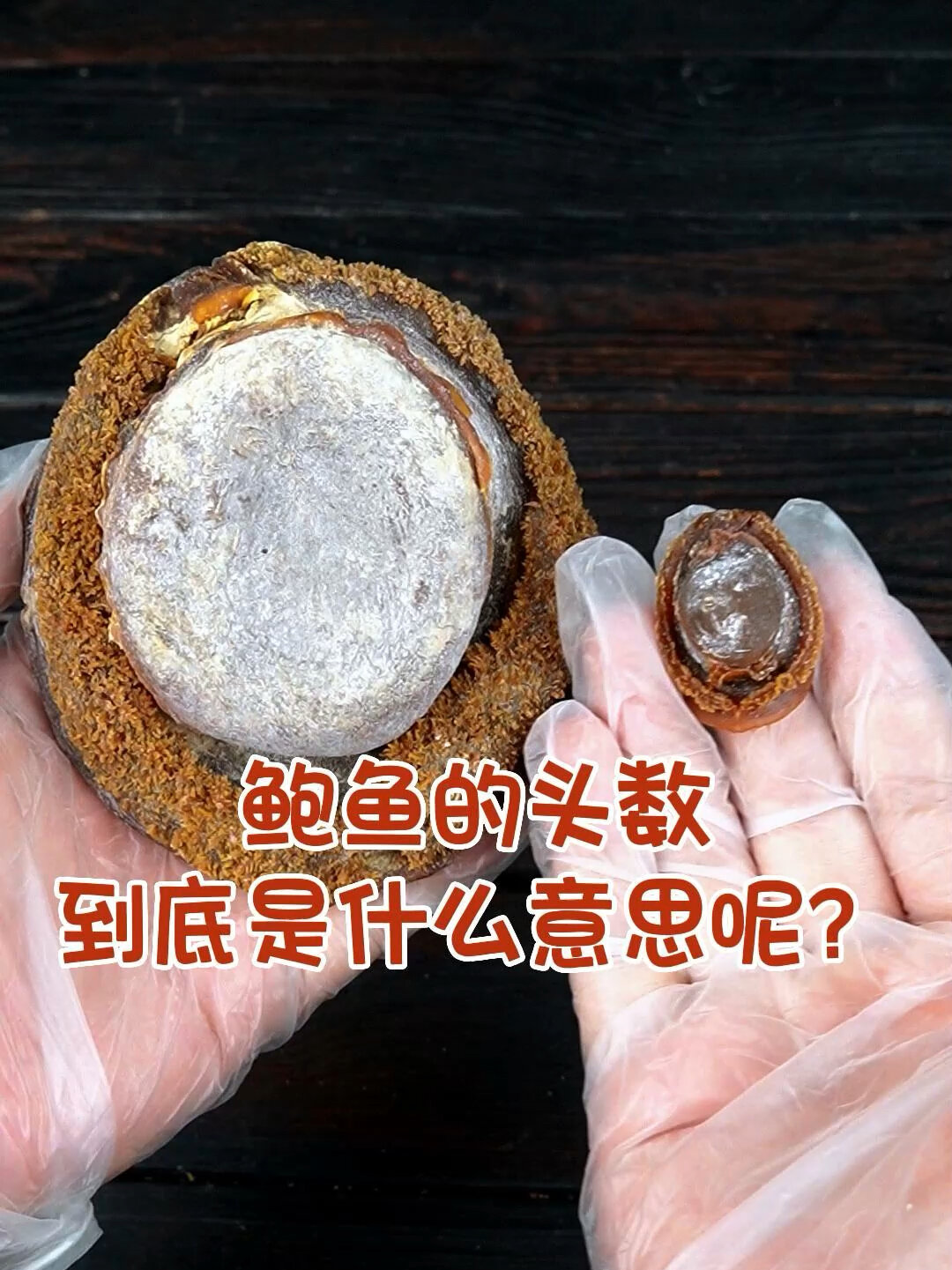 鲍鱼的“几头”到底是什么意思?现在告诉你!