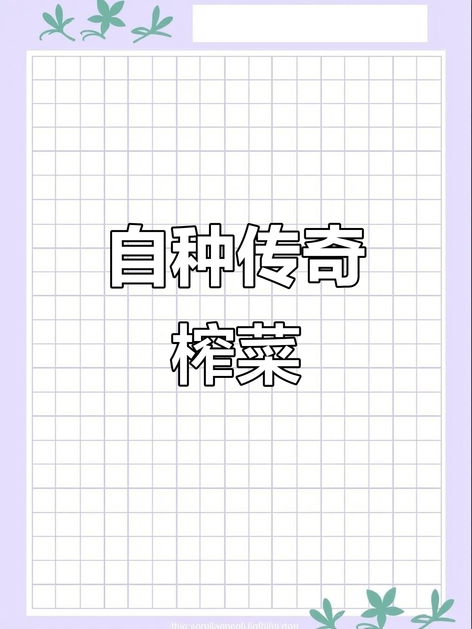 9月关注：榨菜生长周期三月，慢工出细活明年自种更美味！