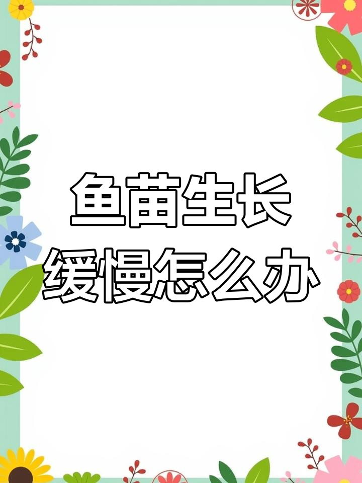 石斑鱼苗长势慢?这些方法帮你解决