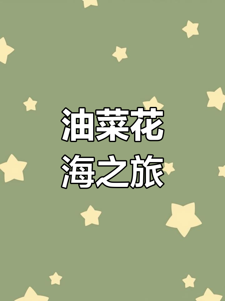 兴化油菜花海,百元门票尽享美景!