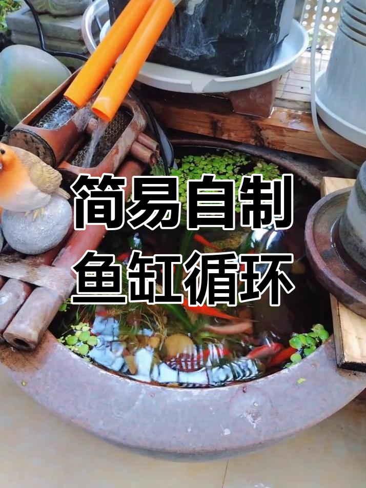 自制鱼缸循环水,简单又实用!