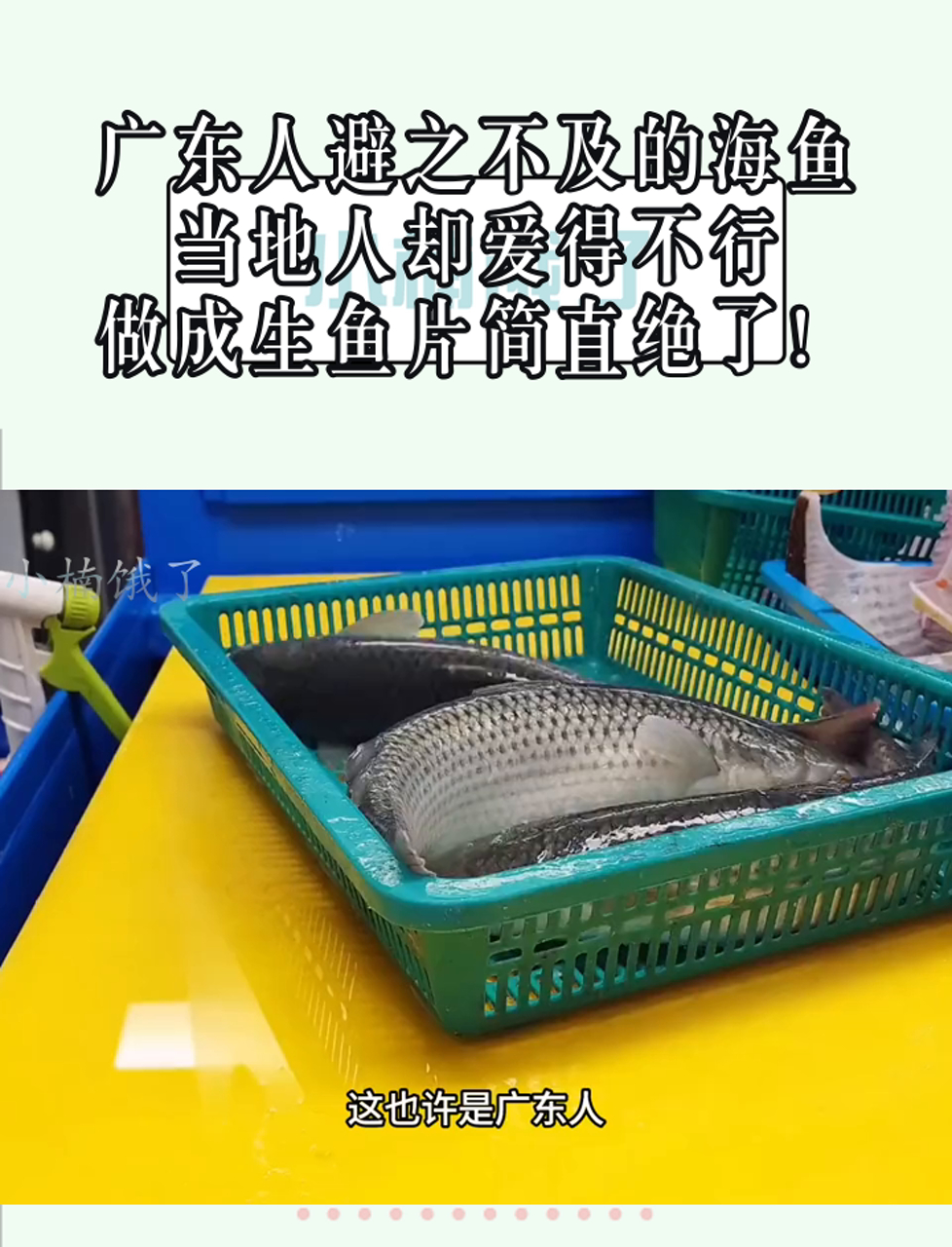 广东人避之不及的海鱼，当地人却爱得不行，做成生鱼片简直绝了！