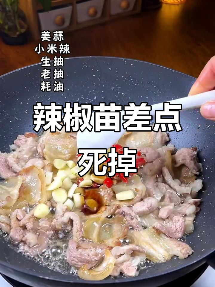 辣椒苗晒伤,长势堪忧,炒菜也变味了