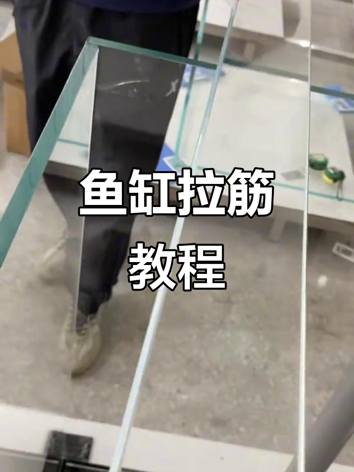 鱼缸拉筋技巧大揭秘，紧致效果全靠这些步骤