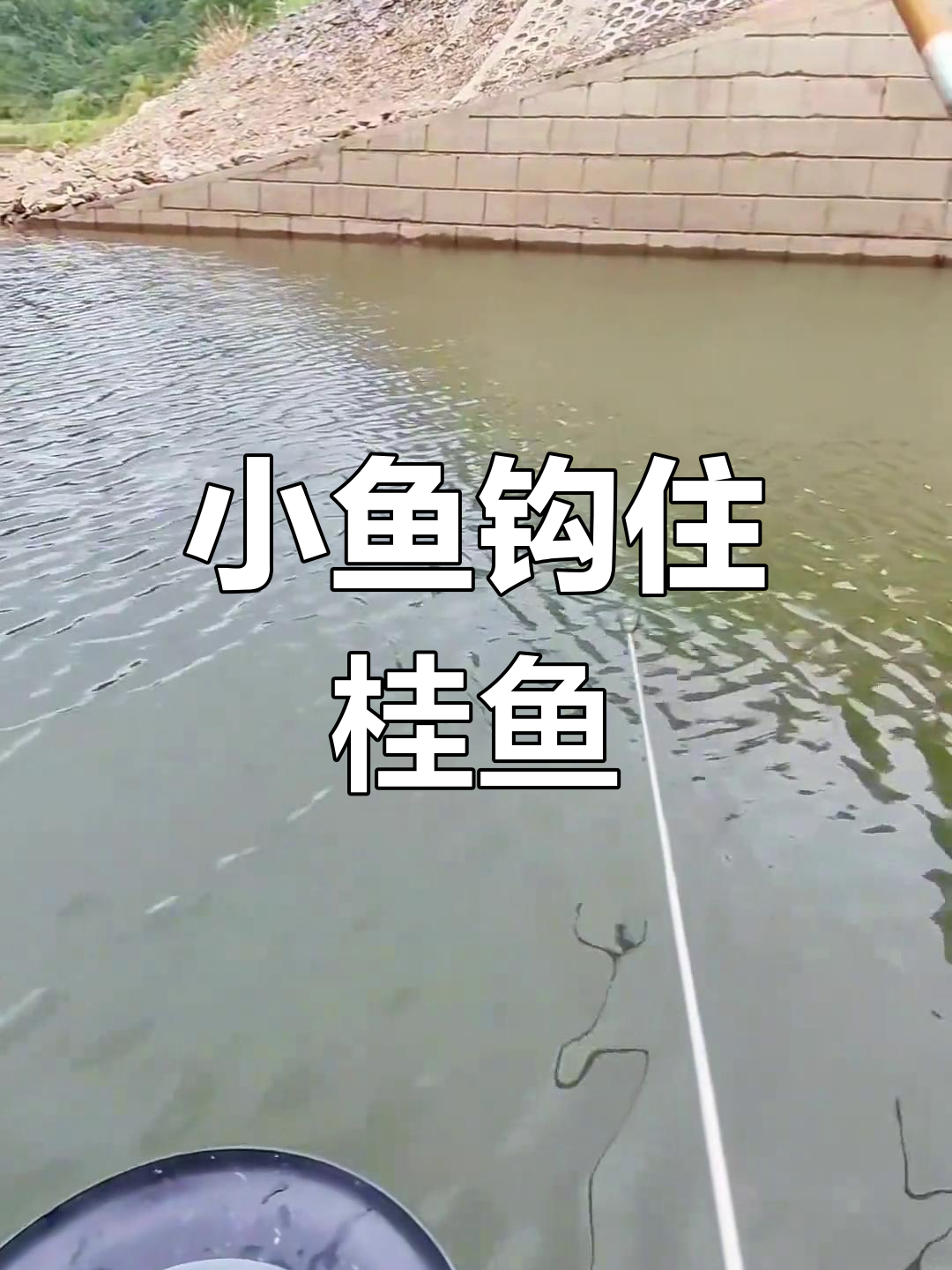 挂小鱼钓鳜鱼,结构多处更易得手