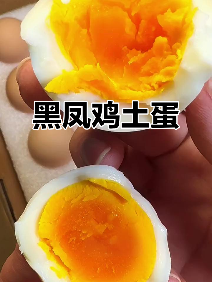 黑凤鸡吃天然食材,土鸡蛋鲜嫩可口,营养丰富!