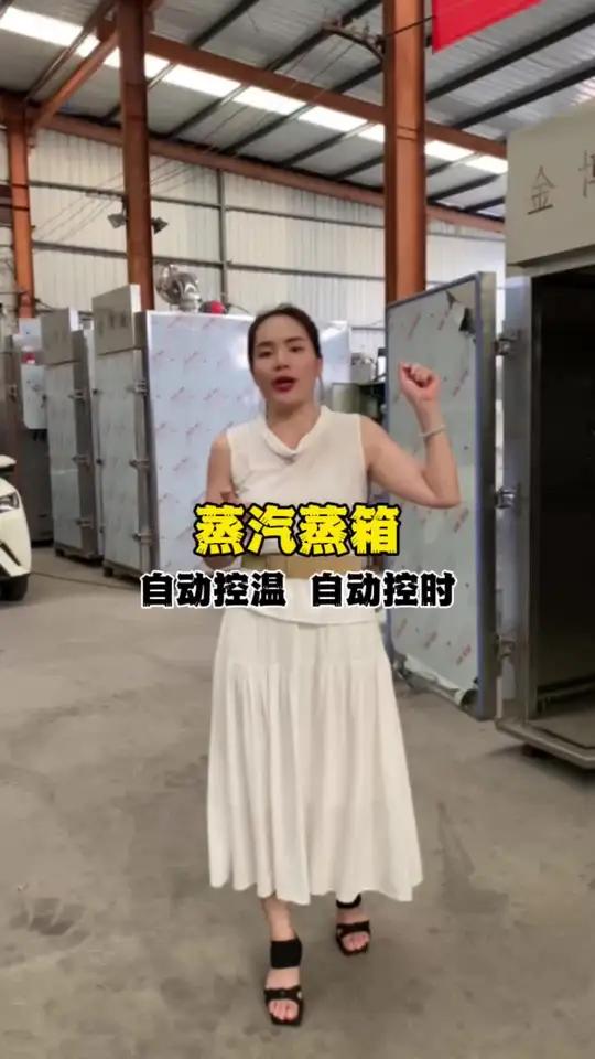 蒸汽蒸箱自动控温,自动控时 蒸汽蒸箱自动控温,自动控时