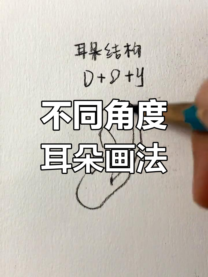 耳朵结构与角度分析,素描入门必学技巧
