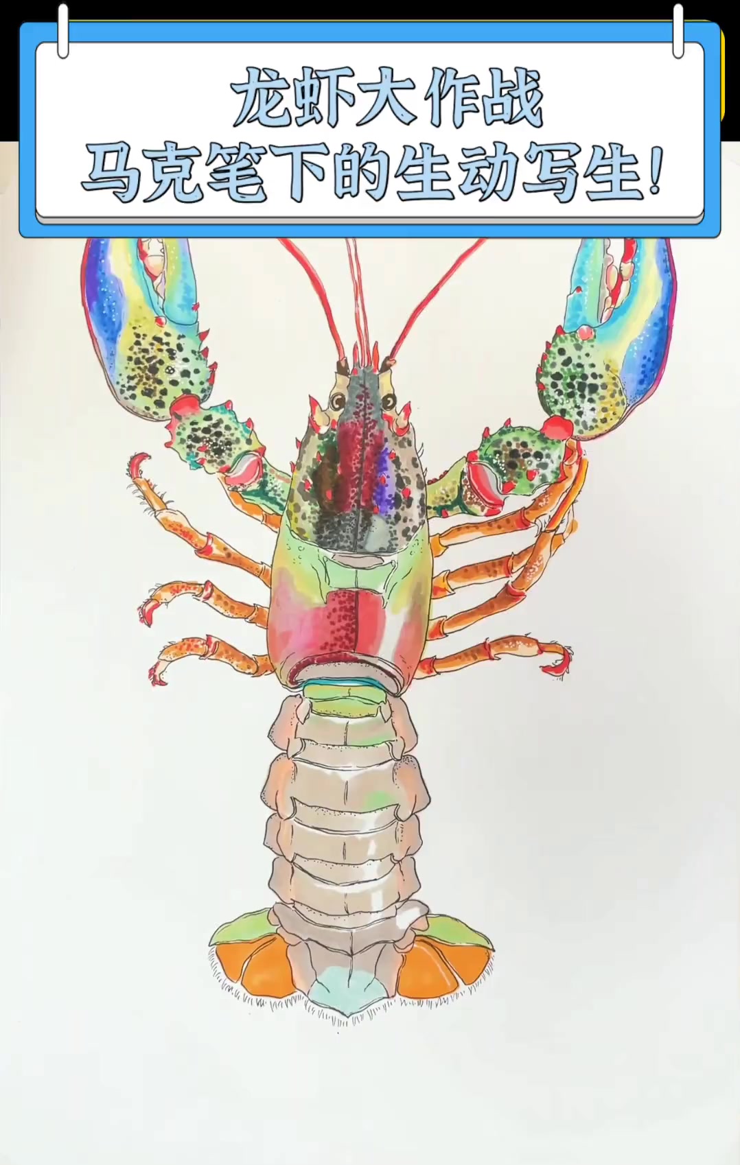 龙虾大作战,马克笔下的生动写生!