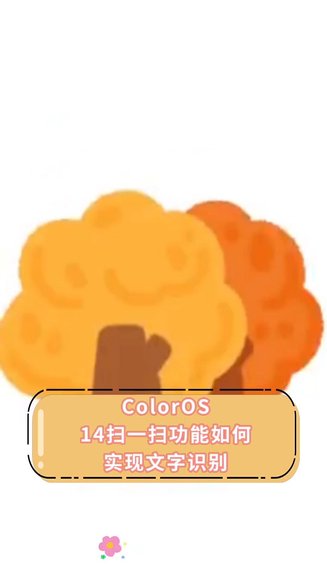 ColorOS,14扫一扫功能如何,实现文字识别