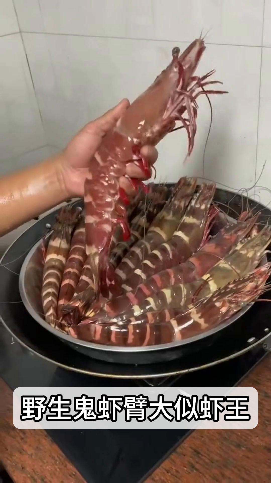 野生鬼虾臂大似虾王,深海奇虾引惊叹