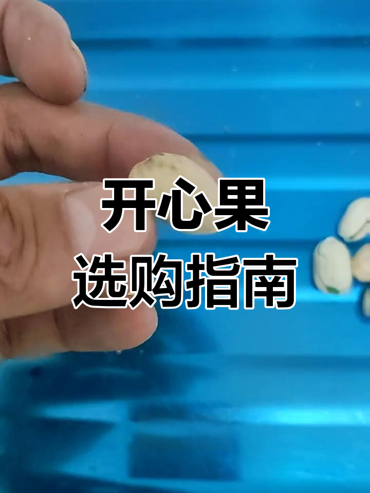 挑选开心果有窍门,白仁与黄仁区别大!