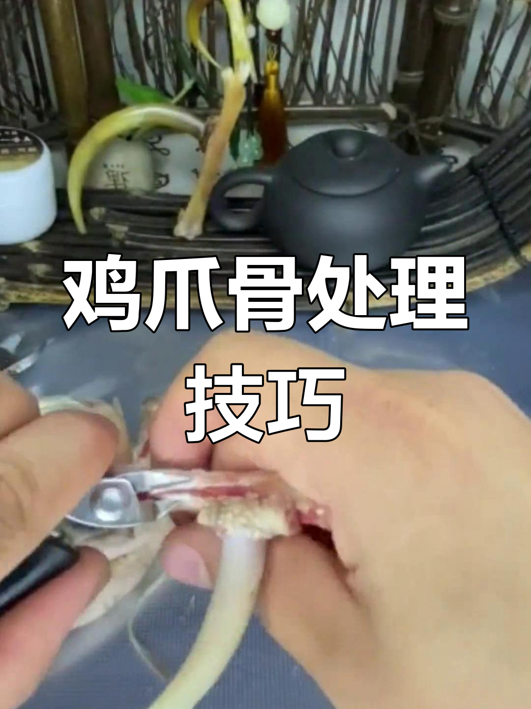 文玩鸡爪骨清理与抛光全过程