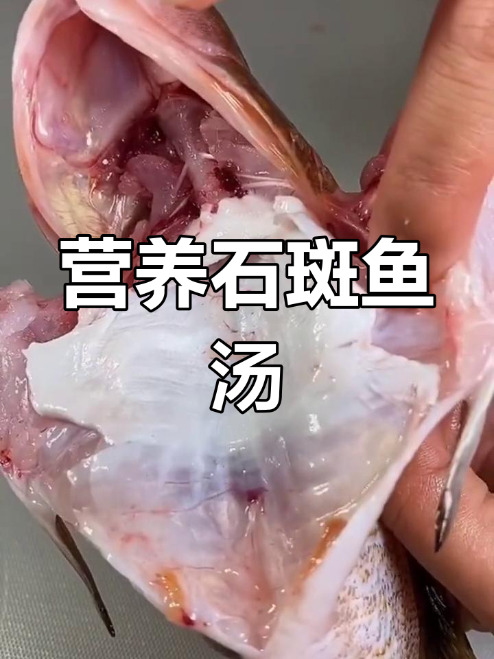 石斑鱼汤,补钙又美味