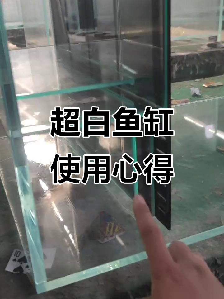 鱼缸溢流设计大揭秘:背包一流、脚一流与角一流的优缺点