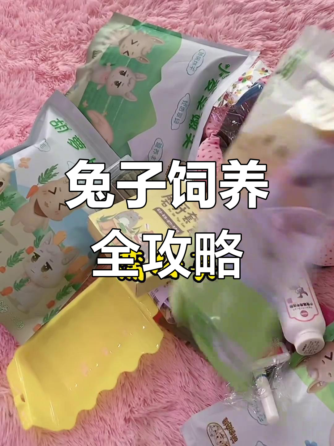 养兔子的真实日常:从喂食到护理