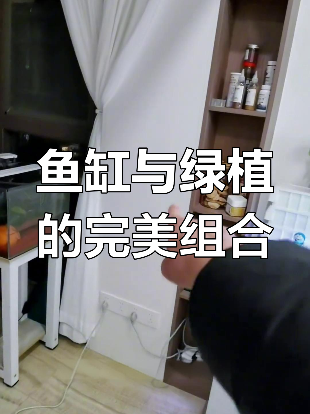 这个架子能放三个小缸,上层还能种绿植,实用又美观!