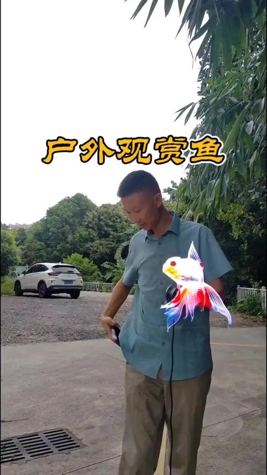户外观赏鱼 全息观赏风扇门店引流获客新方向3d动态广告灯箱裸眼3d全息风扇