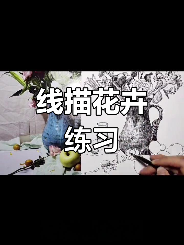 静物写生:用线描画花与枝叶