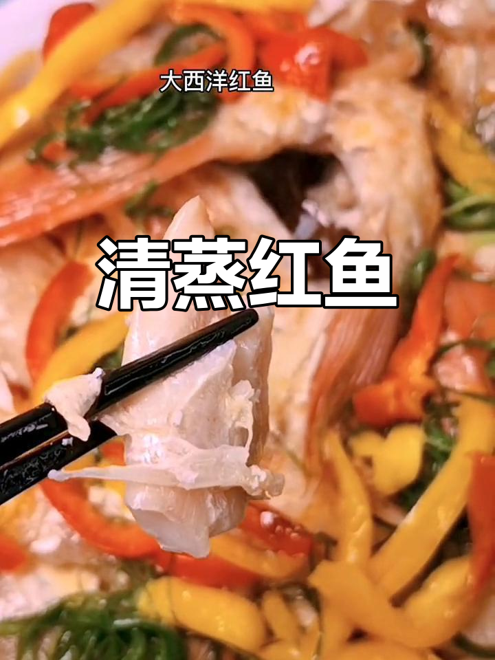 清蒸大西洋红鱼,鲜美无骨