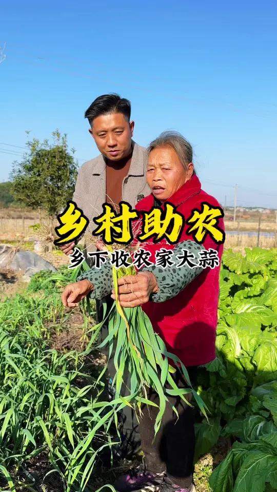 乡村助农，什么是农家菜？并不是乡下种出来的就全部是农家菜，真正的农家菜是种的过程用的是有机