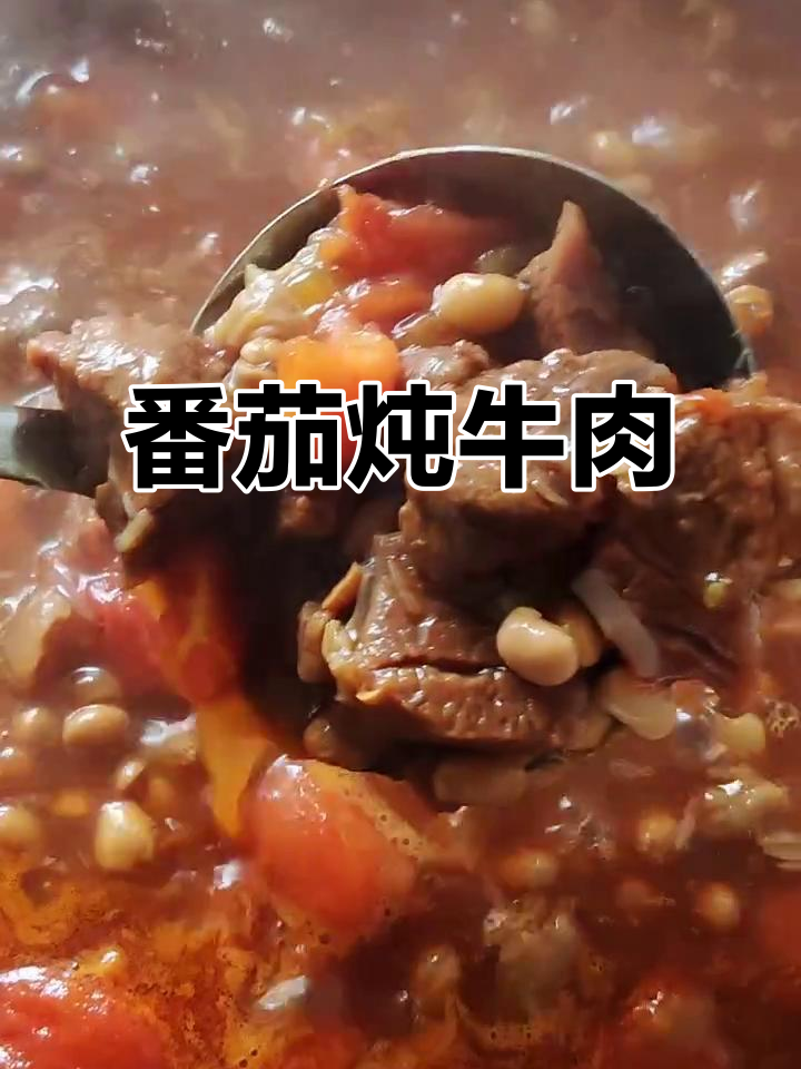 西红柿炖牛肉,汤汁浓郁肉质软烂,老人小孩都爱吃