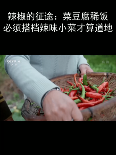 辣椒的征途:菜豆腐稀饭必须搭档辣味小菜才算道地