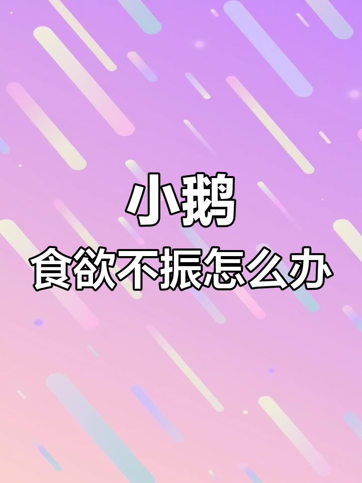 小鹅不吃食?试试这个偏方,增进食欲又防病
