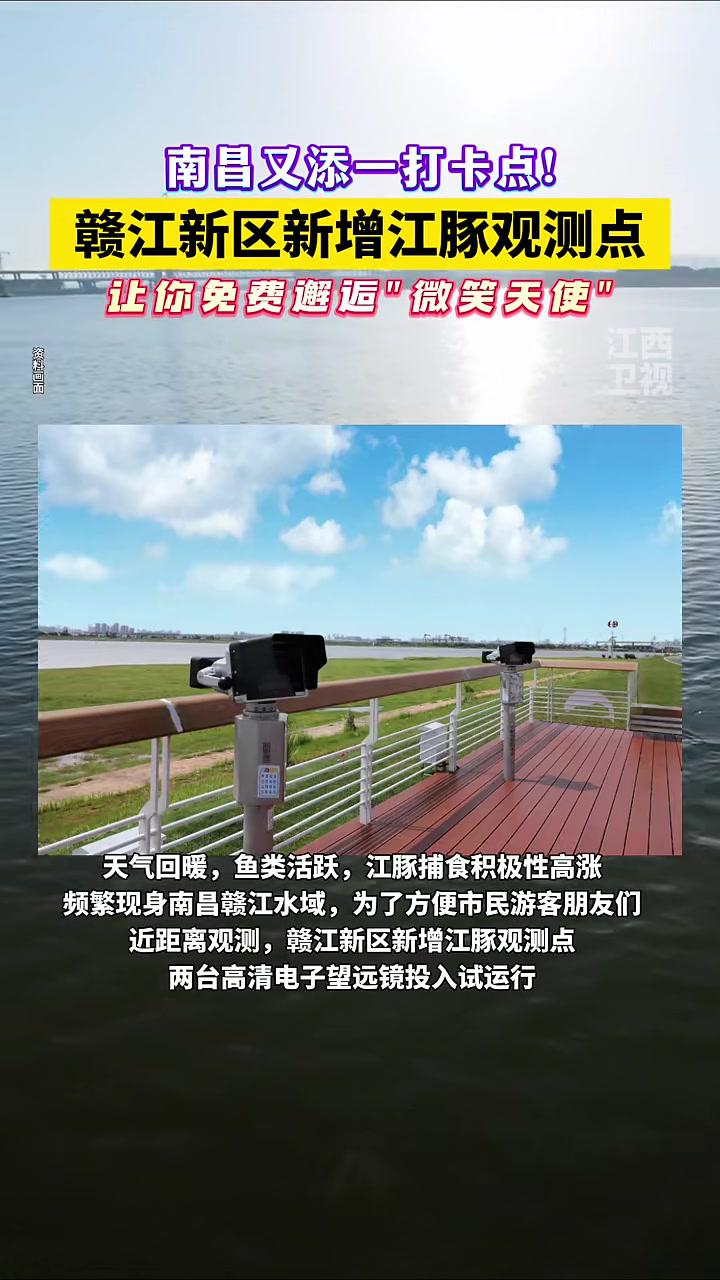 南昌新增江豚观测点可免费体验,快来邂逅“微笑天使”吧!江豚 赣江 江西南昌