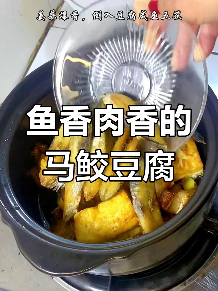 马鲛咸鱼肥腩豆腐煲,孩子最爱吃的美味