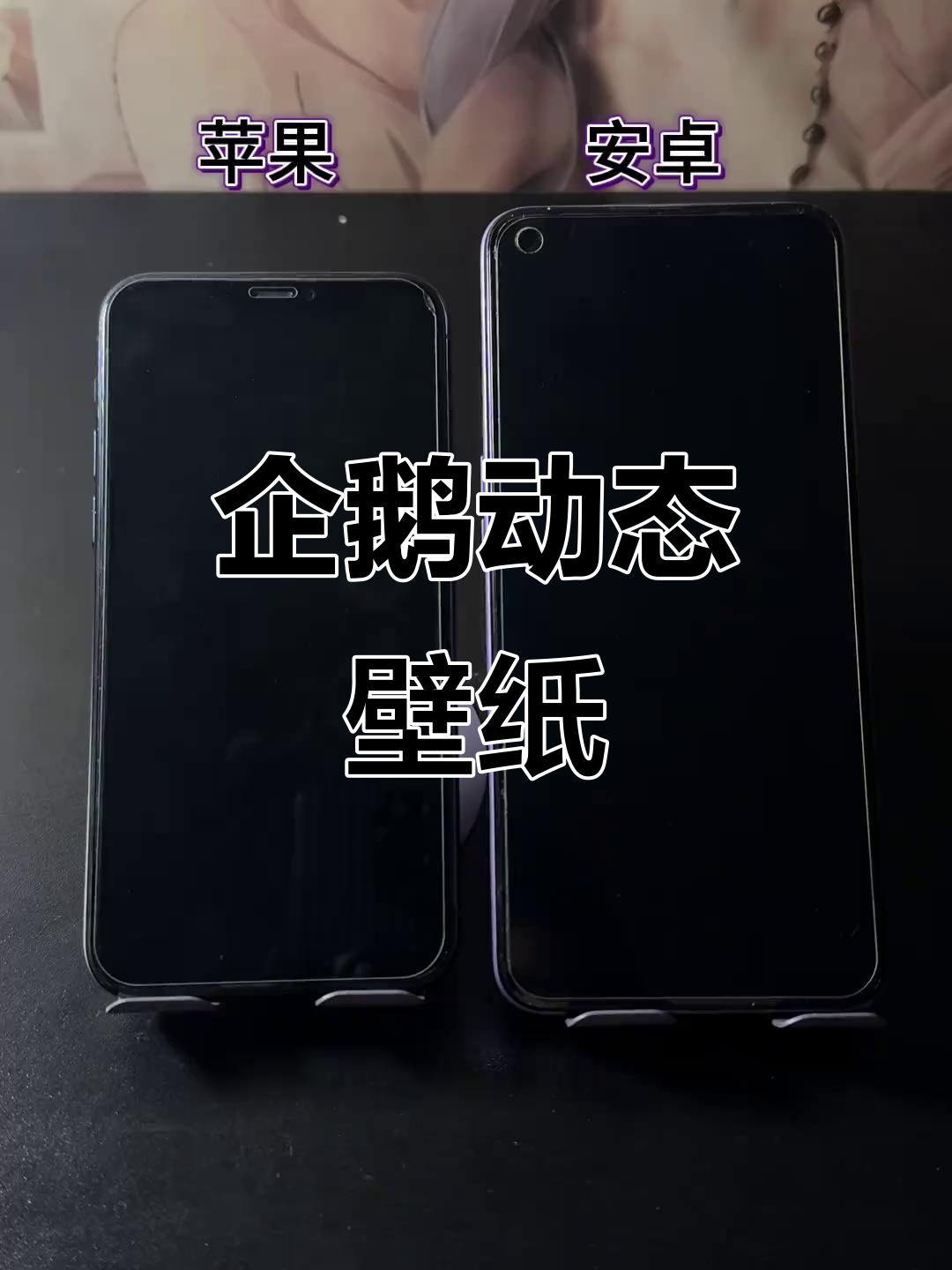 动态壁纸:企鹅的可爱舞动,萌态十足