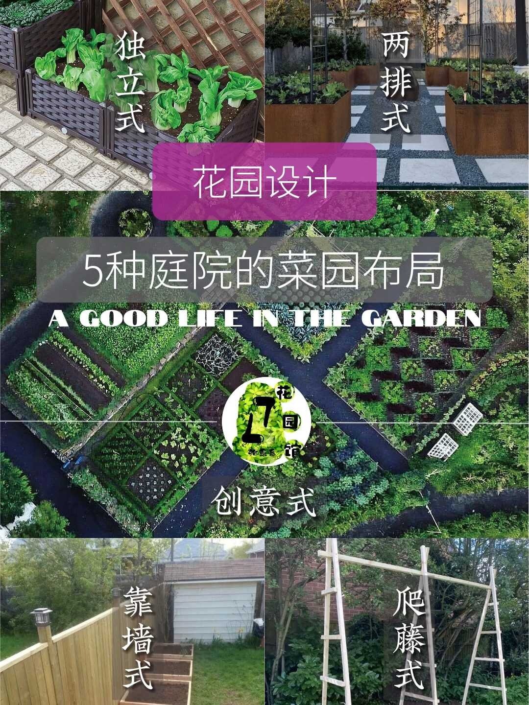 5种菜地布局