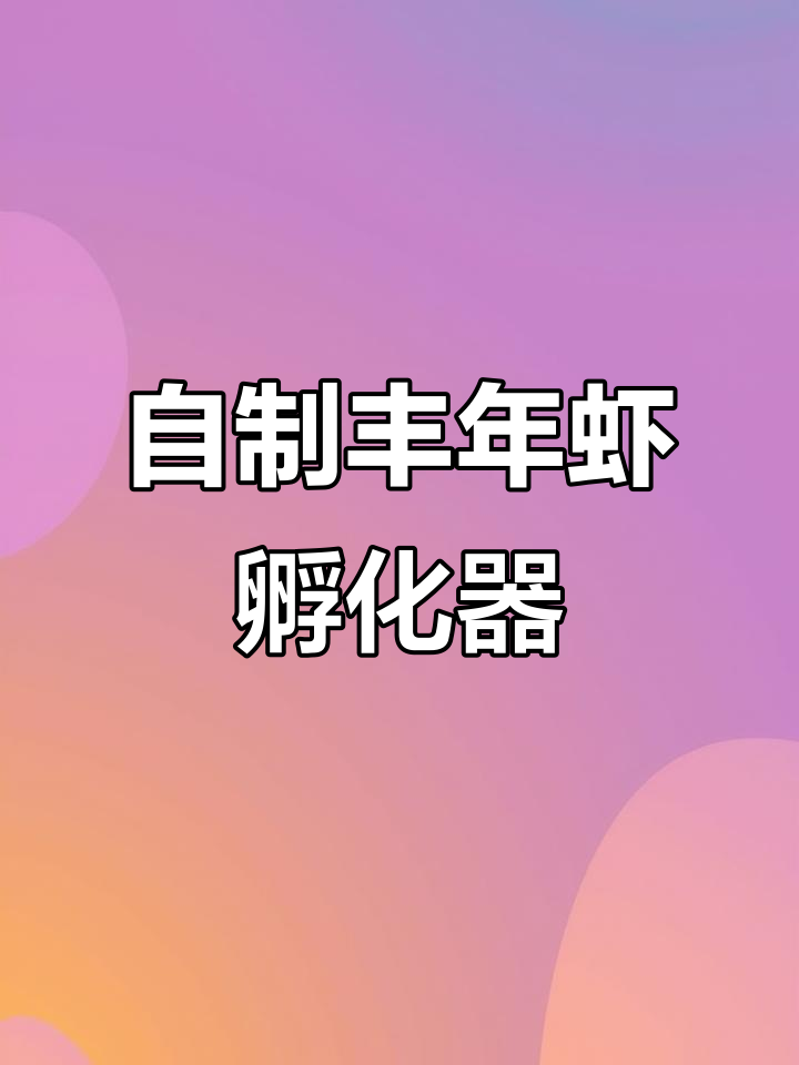 简易丰年虾孵化器制作,轻松搞定!