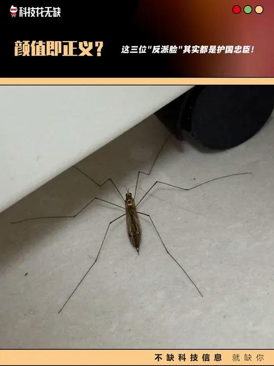 颜值即正义?这三位反派脸其实都是护国忠臣!