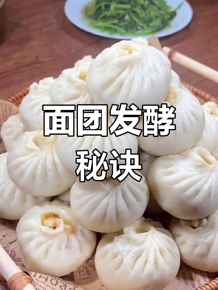 酵母粉选对,面食轻松发!教你做蓬松软糯的包子馒头
