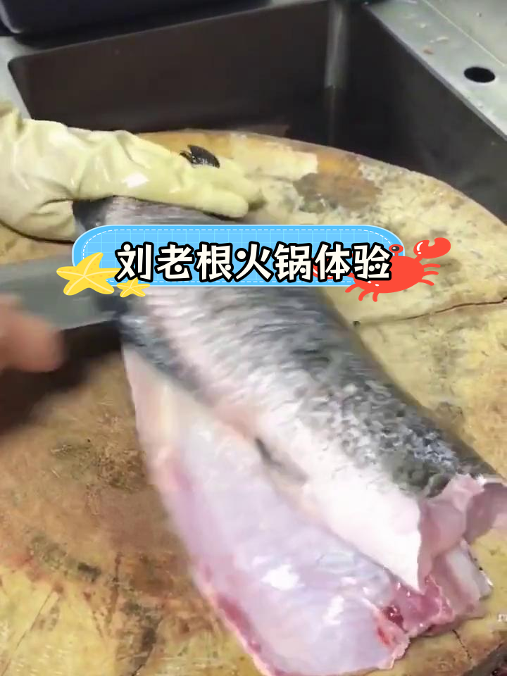 特色斑鱼火锅,刘老根食堂探享