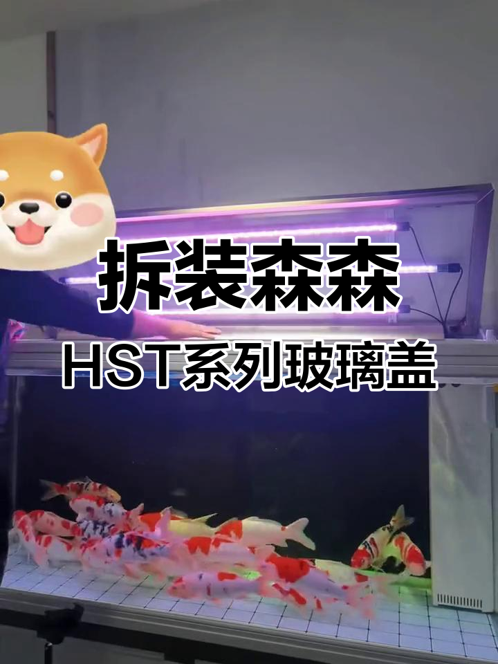 森森鱼缸玻璃盖板拆卸与清洗全攻略,轻松搞定!