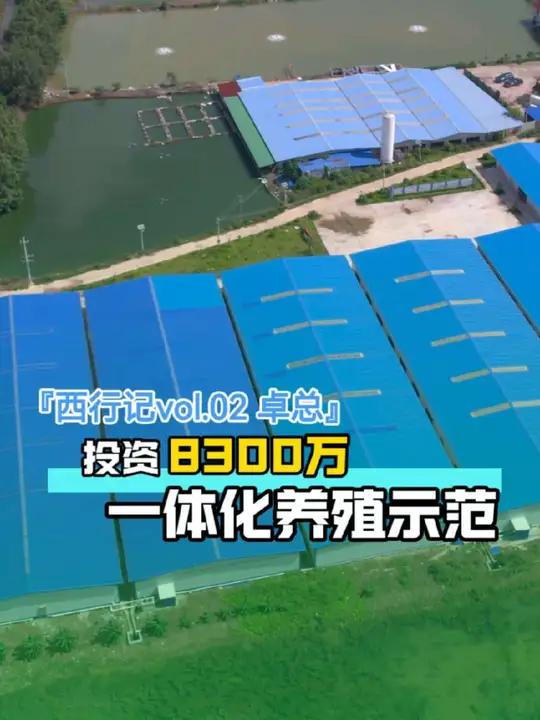 「西行记vol.2」投资8300万的种苗繁育、成鱼养殖一体化示范基地，揭秘广西卓总是如何养