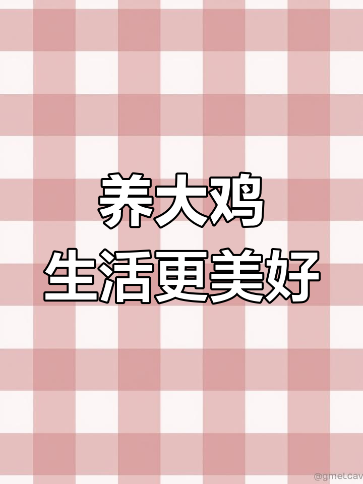 城里打工难,回家养鸡更美!这世界上最大的鸡太可爱了