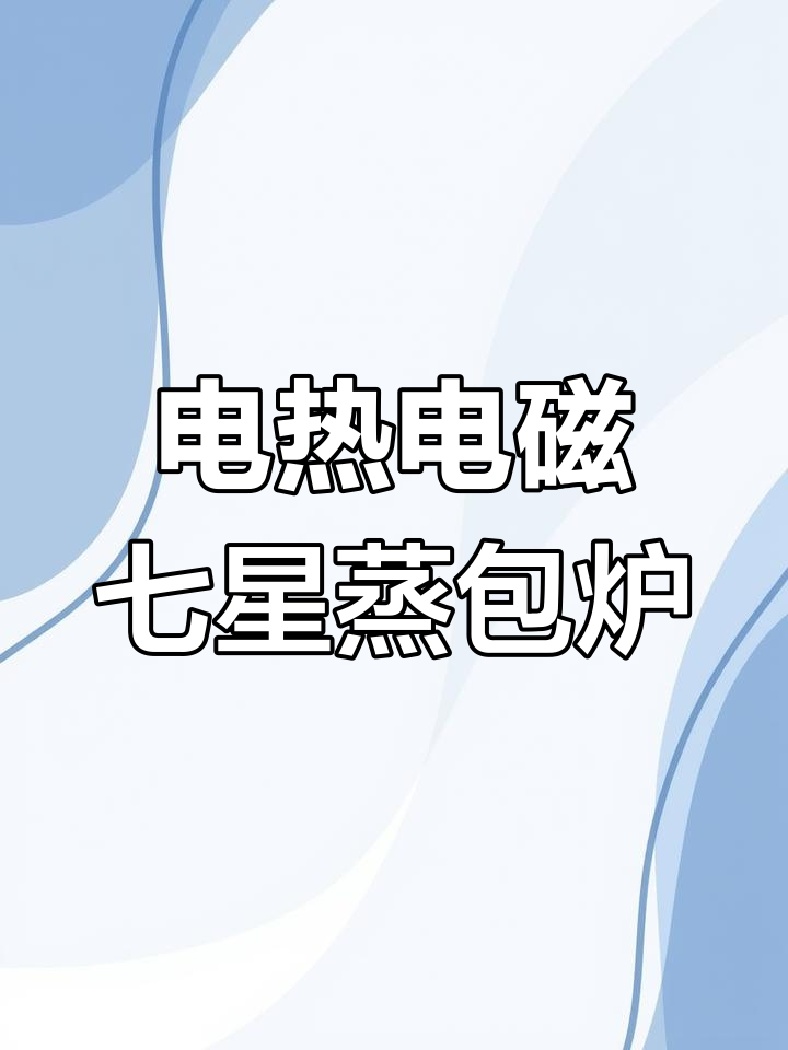 优厨派七星蒸包炉:电热电磁双头定制,满足酒店茶餐厅需求