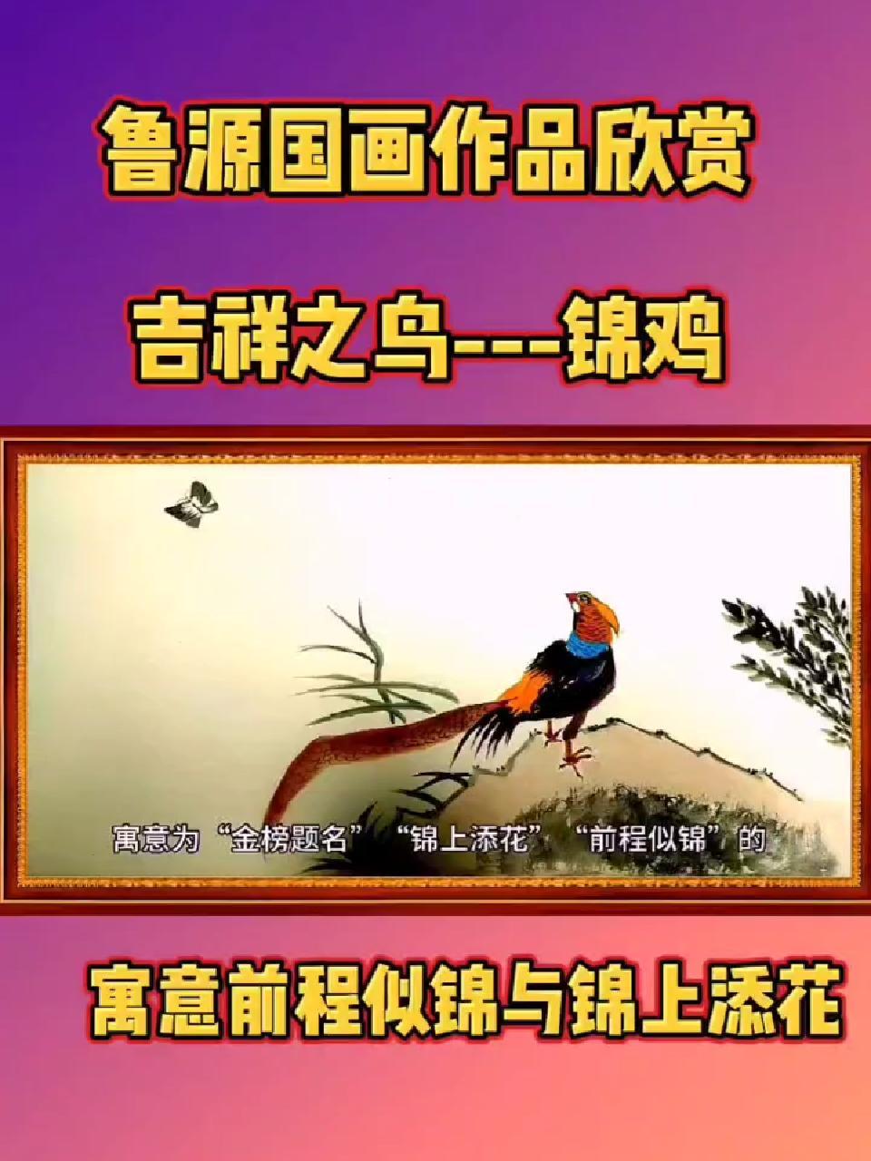 吉祥之鸟锦鸡寓意前程似锦与绵上添花!鲁源国画作品欣赏 传统文化 传扬中华传统文化 国学 锦