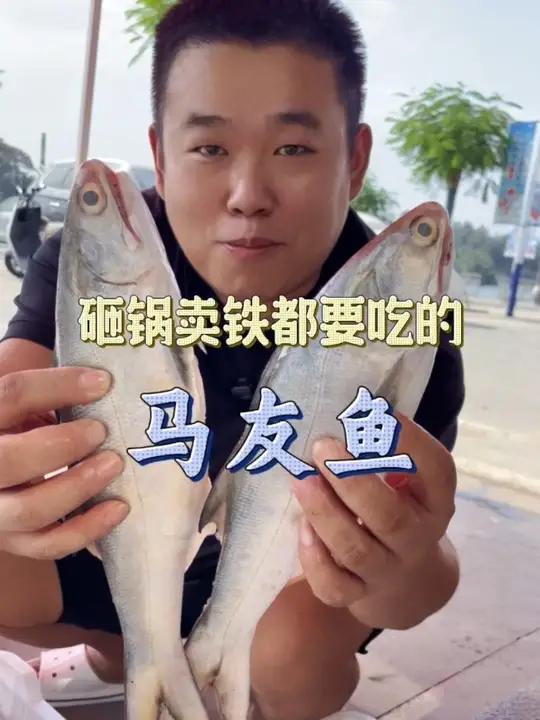 马友鱼 一午二鲳三马鲛，吃过午鱼（马友鱼）的小伙伴们谈谈你们的看法