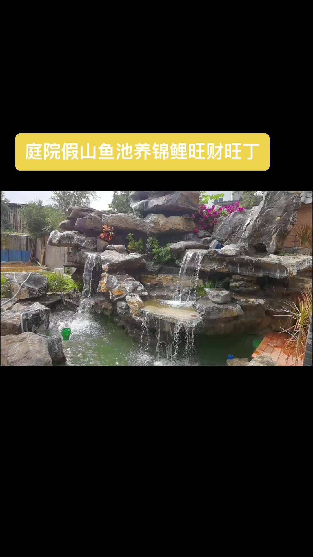 创作灵感 观赏鱼 精品锦鲤 创作灵感 庭院假山鱼池养鱼旺财旺丁