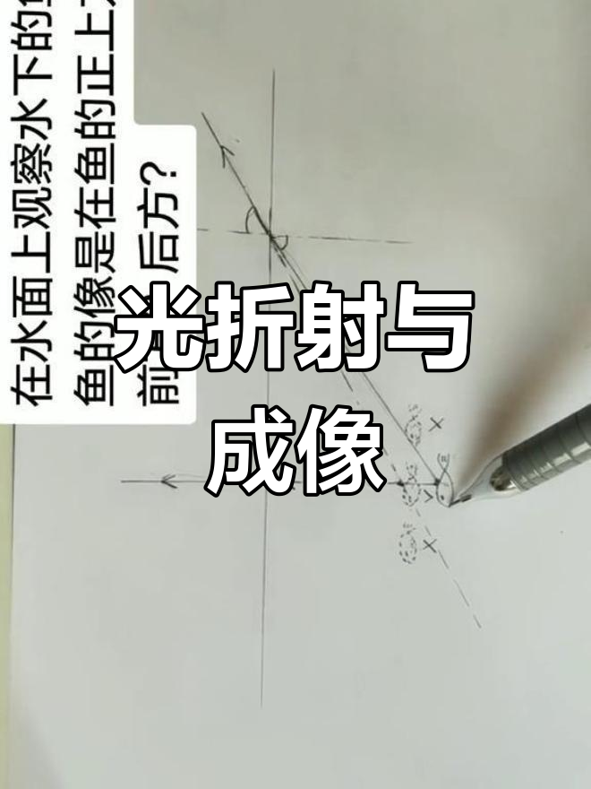 光的折射:鱼像为何总在正上方?