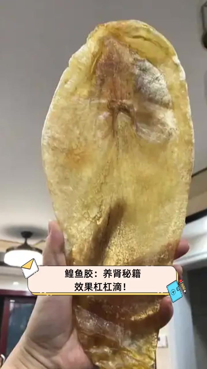 鳇鱼胶:养肾秘籍,效果杠杠滴!