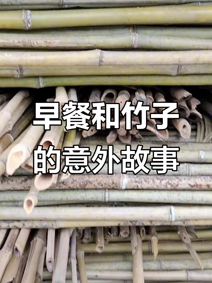 早餐没吃好,竹子也没来,包子店老板的尴尬早晨
