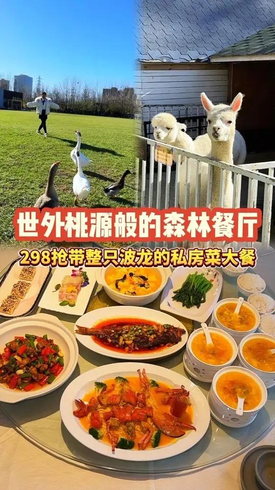 298抢带整只波龙的私房菜大餐!环境超美,刷到先囤上!夜京城 花式过暖冬 超划算逛吃指南 