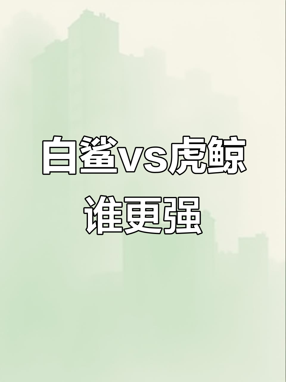大白鲨为何打不过虎鲸?体型差距与智商碾压揭秘